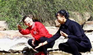 西游记六小龄童版全集 西游记六小龄童版全集