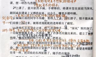 竹节人课文课堂笔记 竹节人课文课堂笔记