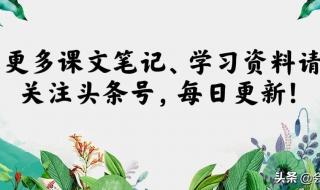 竹节人课文课堂笔记 竹节人课文课堂笔记