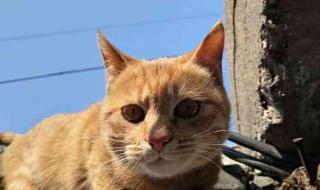 最近的医院是哪个医院