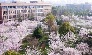 广州食品药品职业学院 广州食品药品职业学院