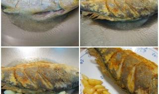 蒜烧小黄鱼是哪个地方的菜 蒜烧小黄鱼是哪个地方的菜