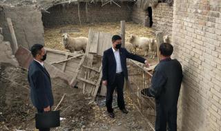 法官进羊圈打一城市名