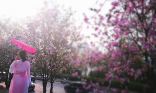 当我遇上你无处可逃