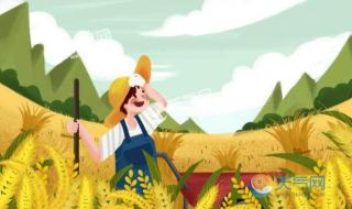 芒种代表人生的寓意 芒种代表人生的寓意