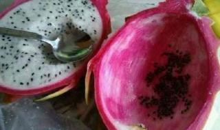 草莓视频无限次数版 草莓视频无限次数版