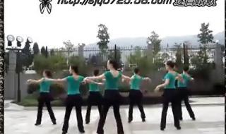 广场舞荷塘月色分解教学 广场舞荷塘月色分解教学