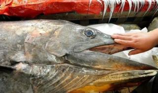 长途搬家200公里费用 长途搬家200公里费用