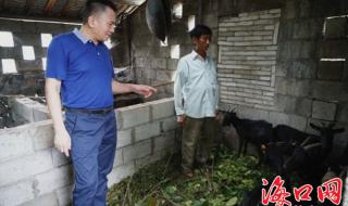 法官进羊圈打一城市名