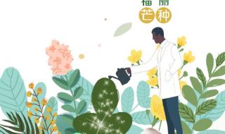 芒种代表人生的寓意 芒种代表人生的寓意