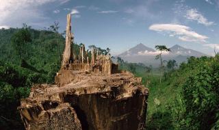 中国最大的盆地是什么