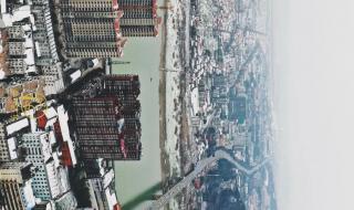 电视剧请君全集免费观看 电视剧请君全集免费观看