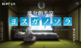 缘分天空11集免费观看 缘分天空11集免费观看