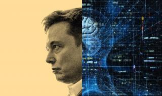 马斯克用活猪演示脑机技术 马斯克用活猪演示脑机技术