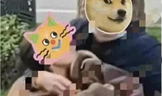 大妈与61岁大爷公园舌吻 大妈与61岁大爷公园舌吻