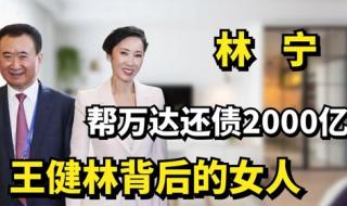 万达就王健林去世谣言报警 万达就王健林去世谣言报警