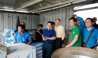 广东城市排名一二三线 广东城市排名一二三线