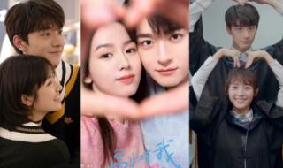 林一和周也演的电视剧 林一和周也演的电视剧