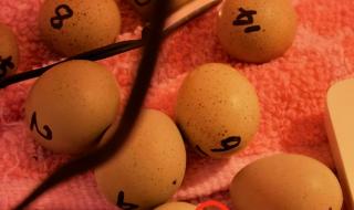 神十七神十八乘组激动相拥 神十七神十八乘组激动相拥