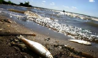 喝了核废水能活几年啊 喝了核废水能活几年啊