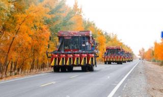 阿拉尔疫情最新情况 阿拉尔疫情最新情况