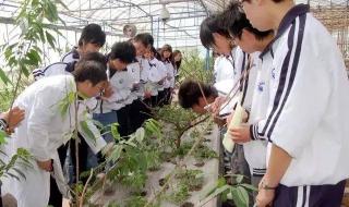 西华师范大学继续教育学院 西华师范大学继续教育学院